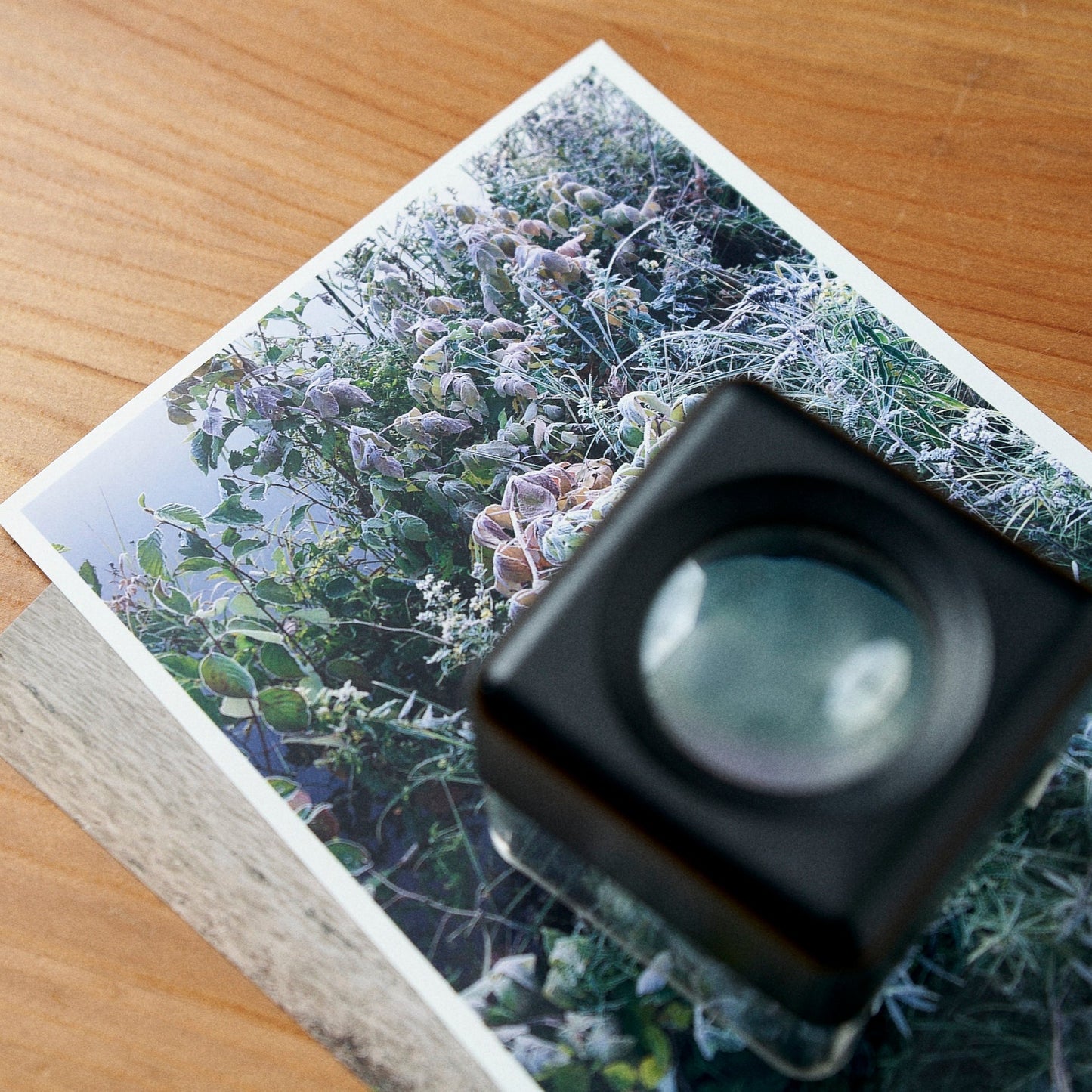 Impressions photo standard
