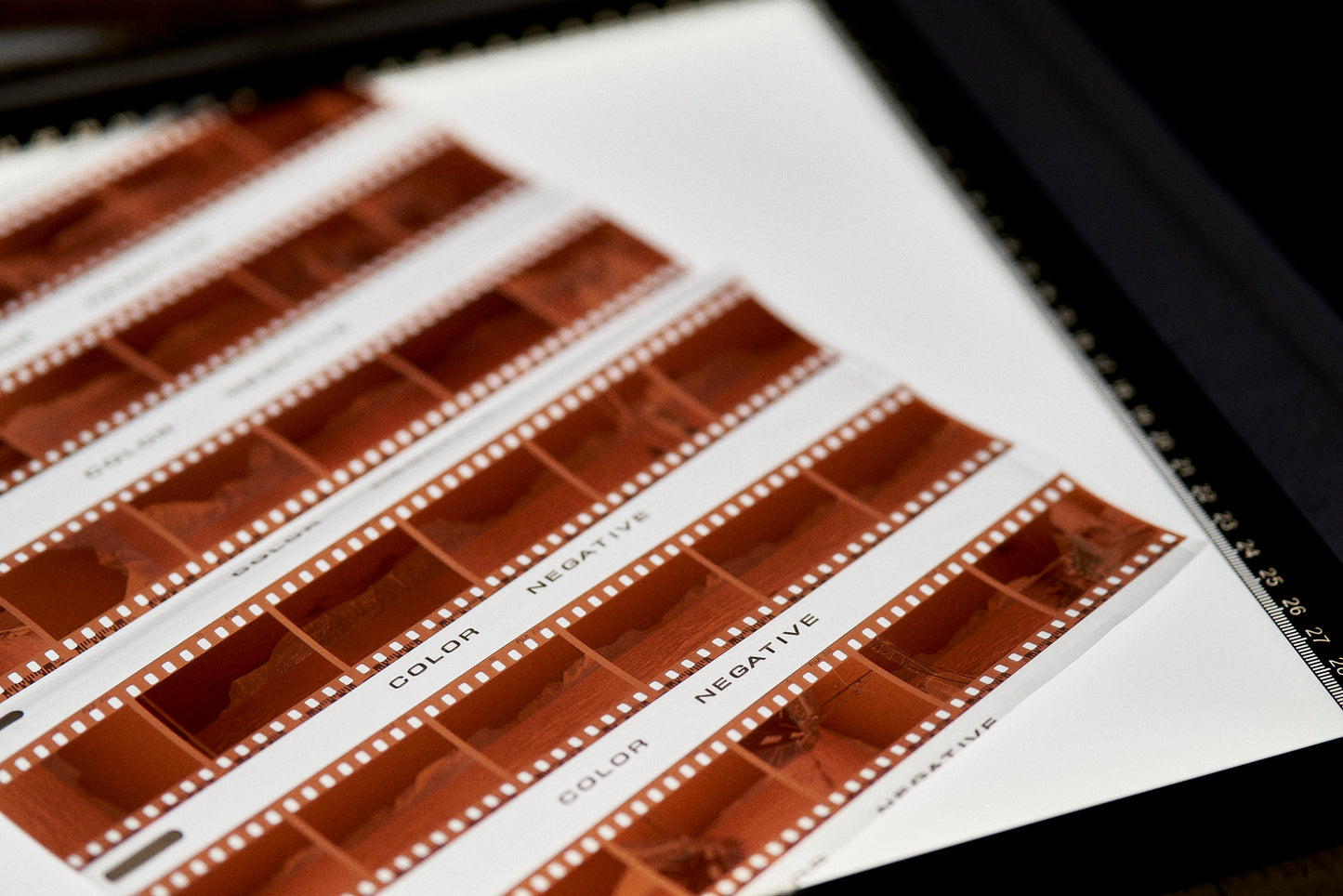 Photographie argentique (Atelier 1)