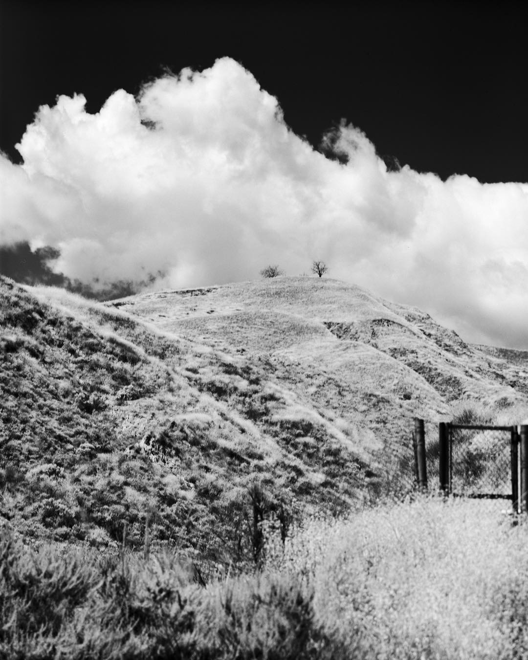 Film noir & blanc Rollei infrared (rouleau 120)
